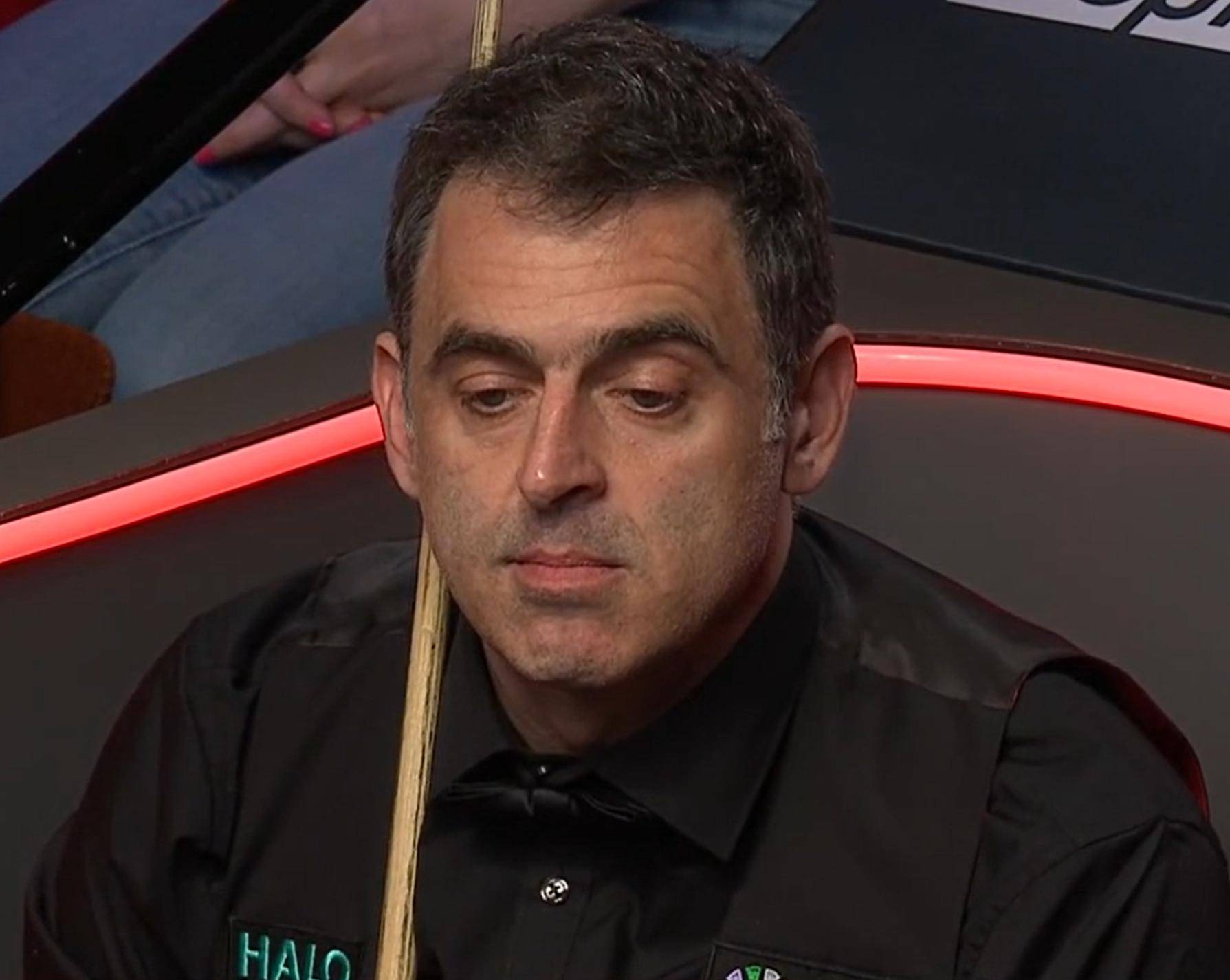 专家们对她 专家们对她